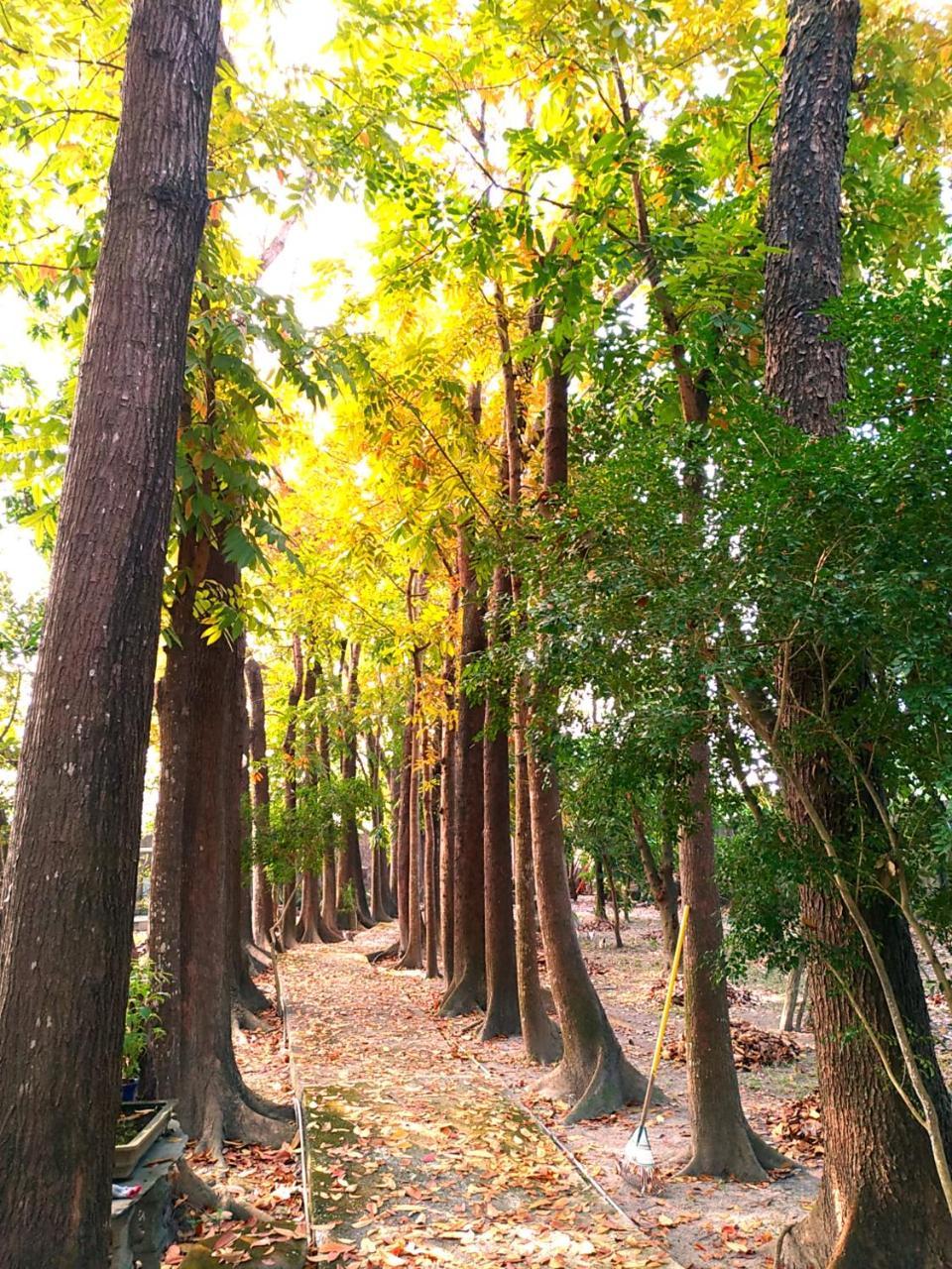 Meinong Yun Shanju Homestay Mei-nung Екстер'єр фото
