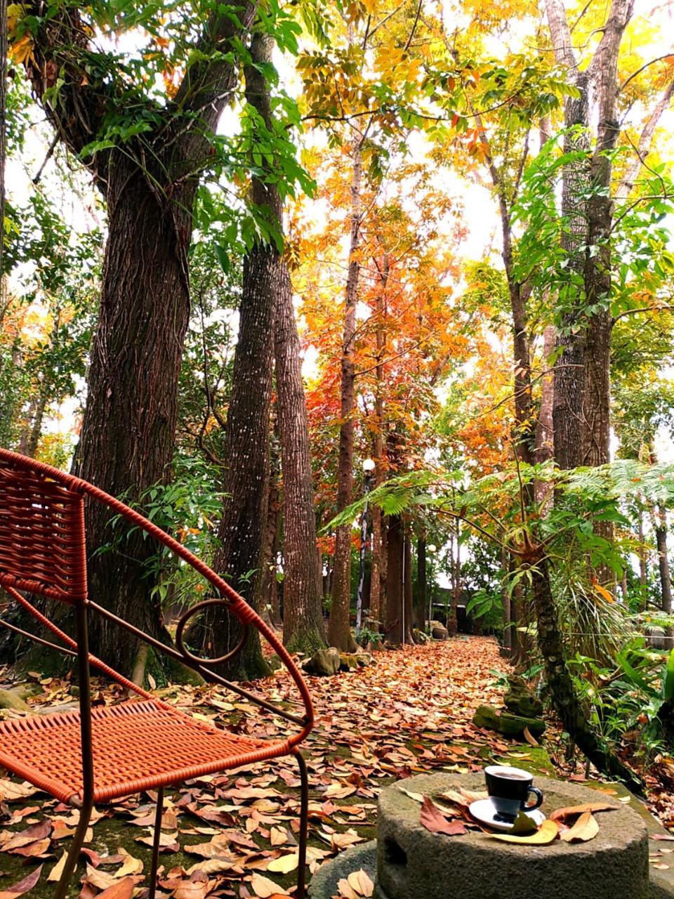 Meinong Yun Shanju Homestay Mei-nung Екстер'єр фото