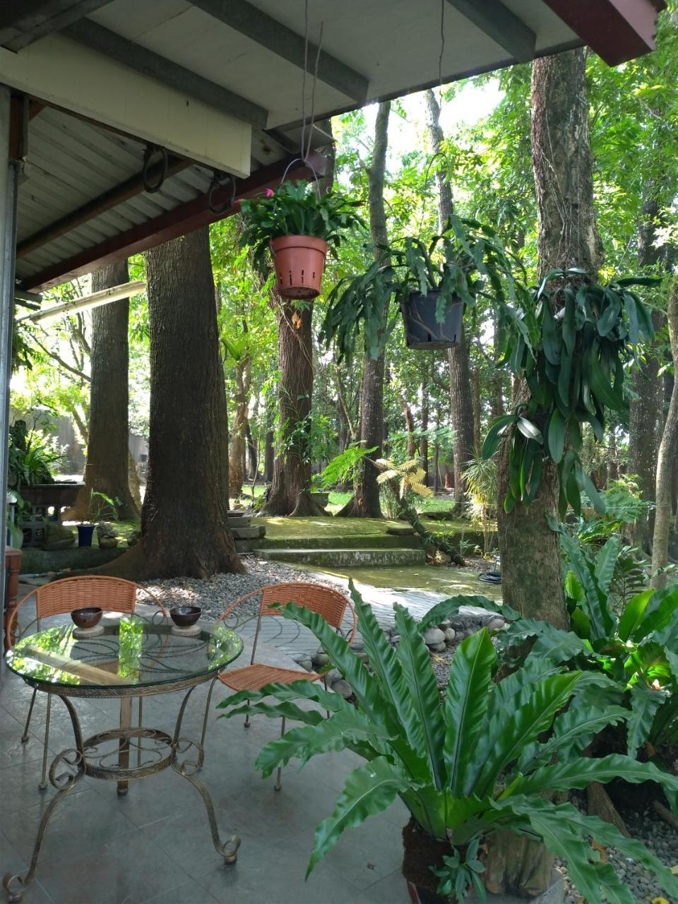 Meinong Yun Shanju Homestay Mei-nung Екстер'єр фото